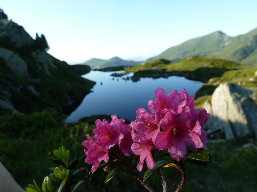Gaestehaus Gratlspitz アルプバッハ エクステリア 写真